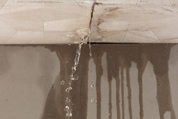 Professional Sewage Cleanup technician working in Geneva, IL